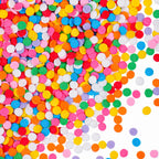 Rainbow Confetti Sprinkles 4.6oz